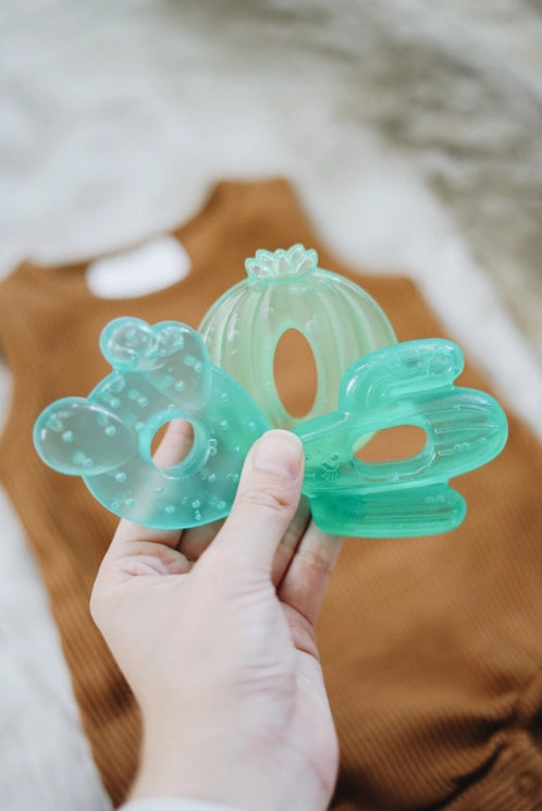 Cactus Cutie Cooler Teethers (3-pack)