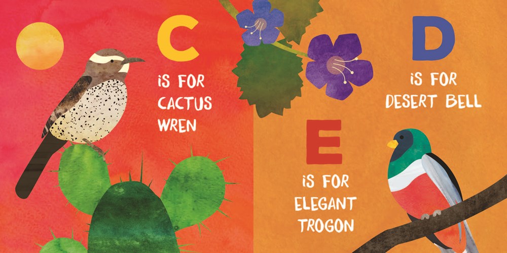 A Is For Arizona Board Book