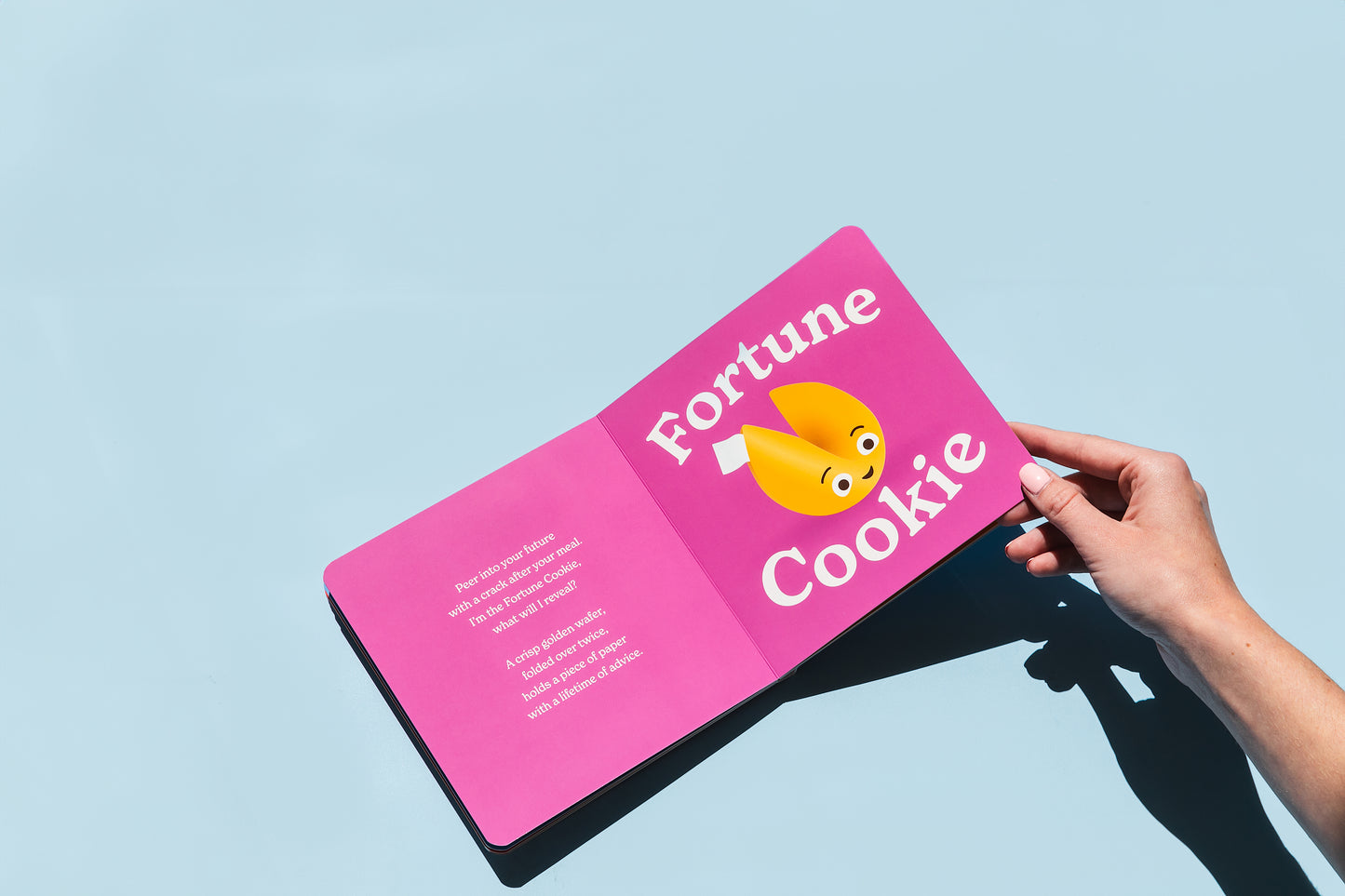 Little Book of Cookies