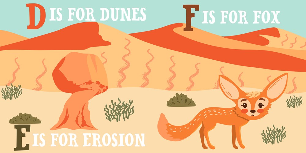 D Is For Desert Board Book