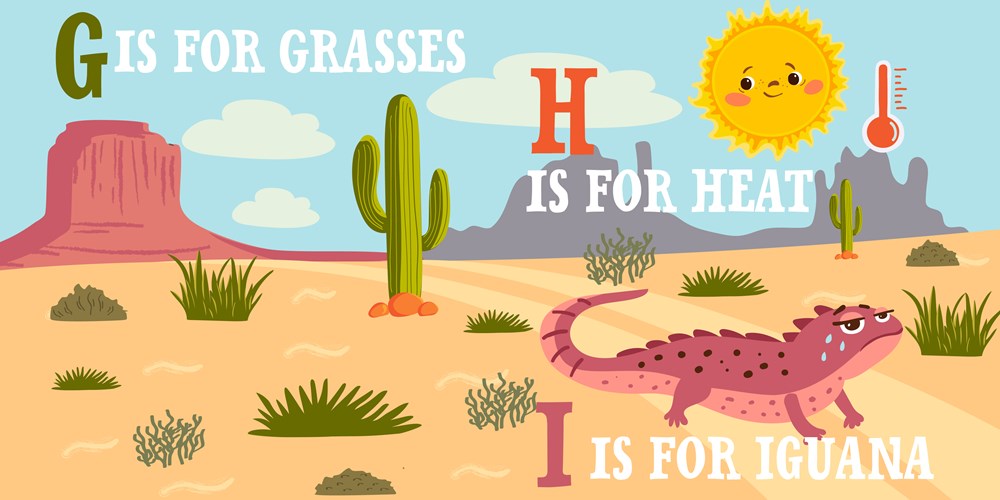 D Is For Desert Board Book