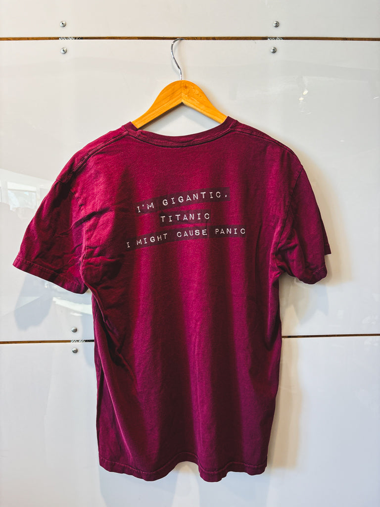 Melissa Etheridge "Monster" s/s tee- vintage