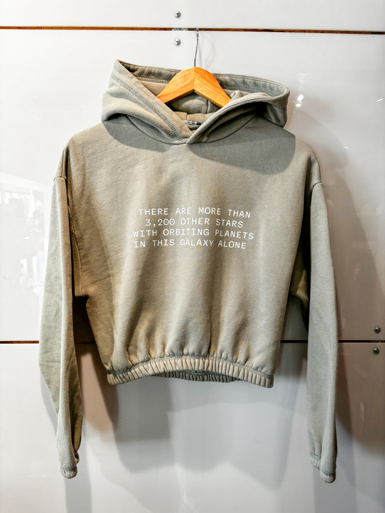 3,200 Stars muted sage crop hoodie- upcycled