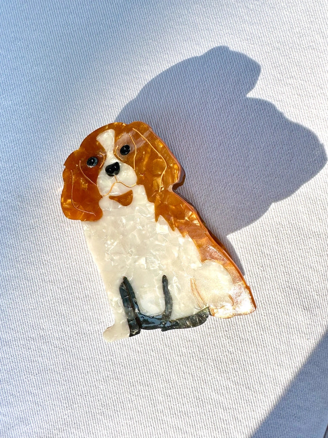 Acetate Dog Claw Clip