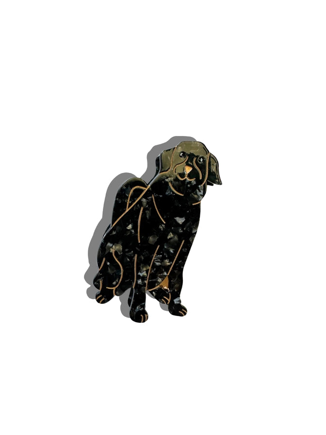 Acetate Dog Claw Clip