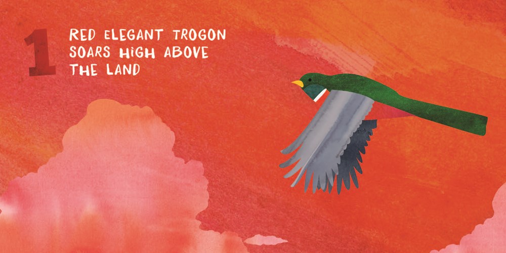 Lets Count Arizona Board Book