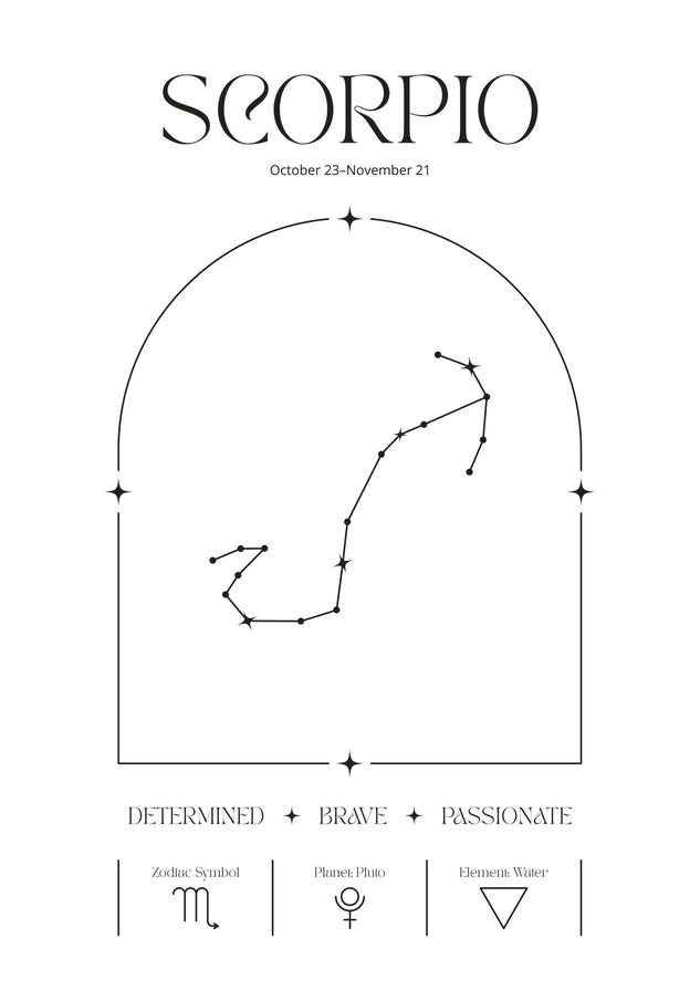 Zodiac Astrology Star Sign Celestial Print 8x10