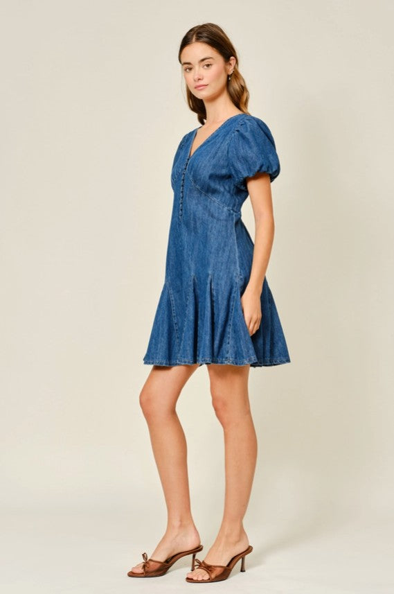 Claudia Denim Mini Dress
