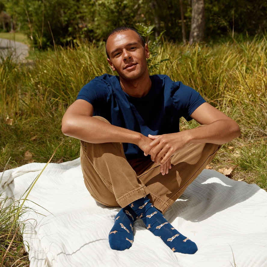 Socks that Save Dogs (Low Riders)