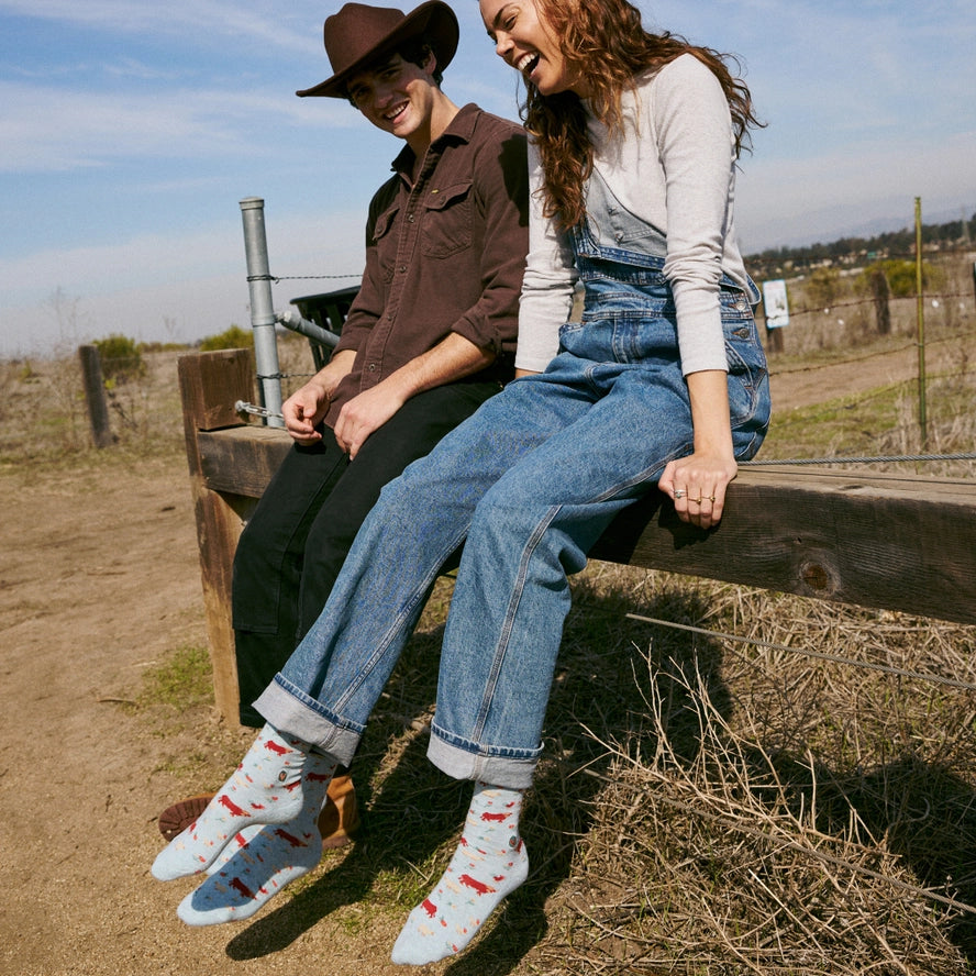 Socks That Save Farm Animals