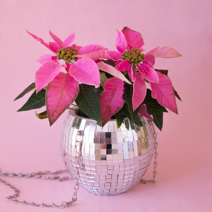 Disco Hanging Planter 8"