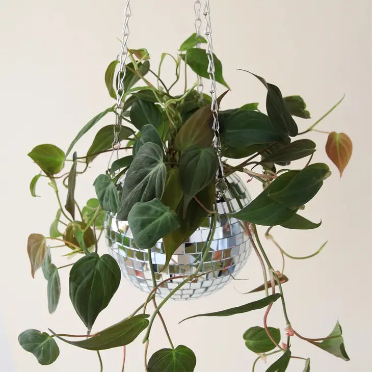 Disco Hanging Planter 8"