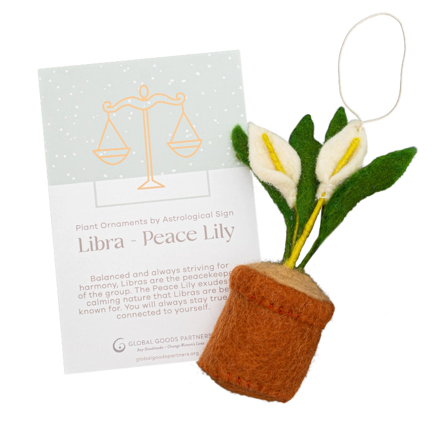 Plant Ornament Astrology Signs with Card