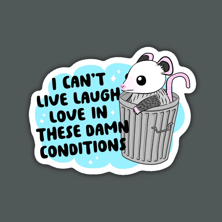 Can't Live Laugh Love in These Conditions Possum Sticker