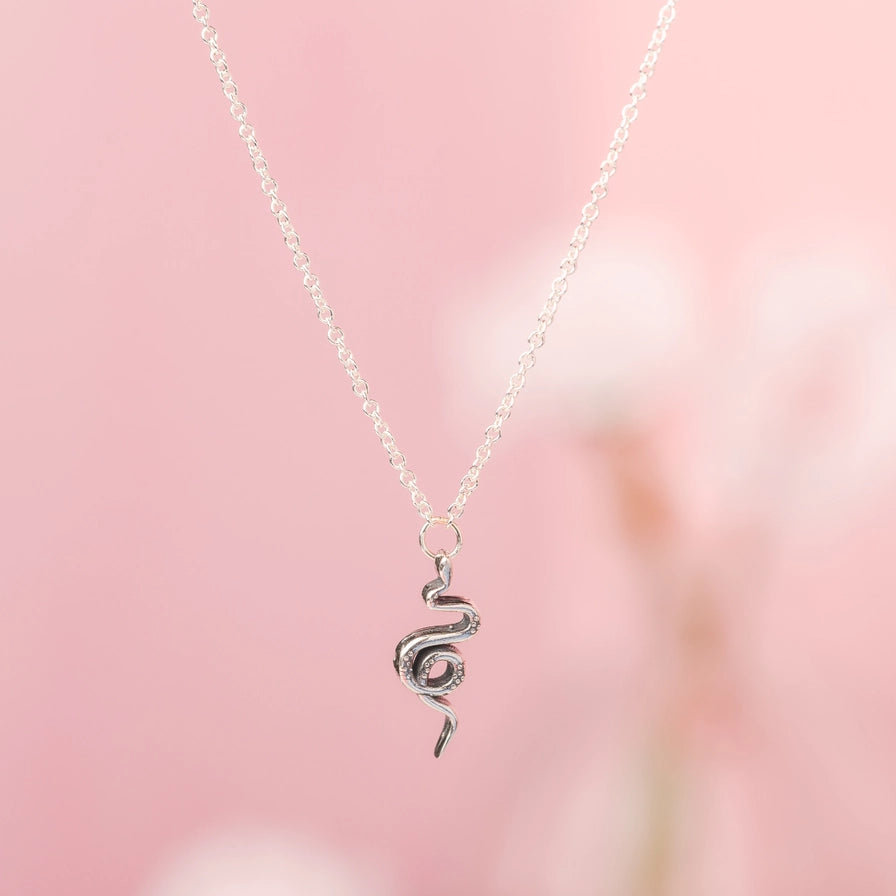 Celestial Snake Silver Necklace