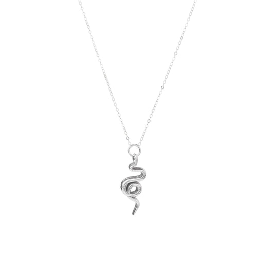 Celestial Snake Silver Necklace