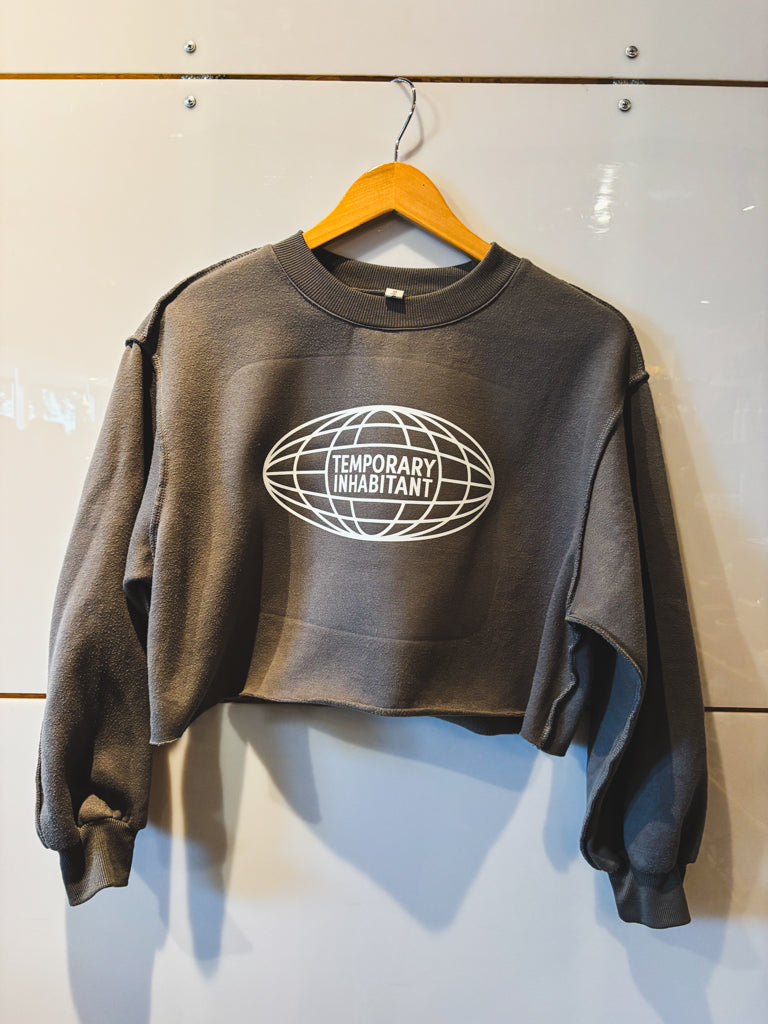 Globe gray cropped sweatshirt - upcycled