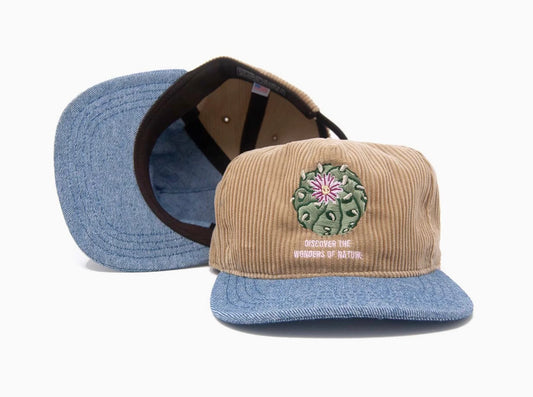 Discover Wonders Strapback
