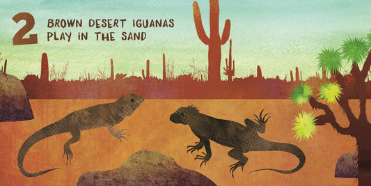 Lets Count Arizona Board Book