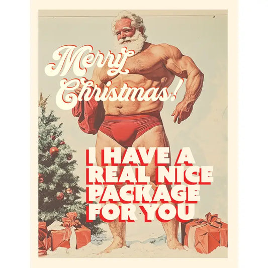 Nice Package! Christmas Card