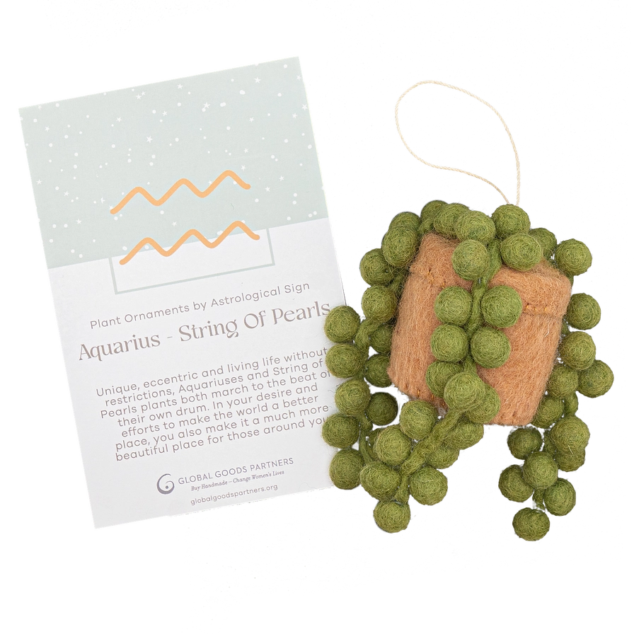 Plant Ornament Astrology Signs with Card