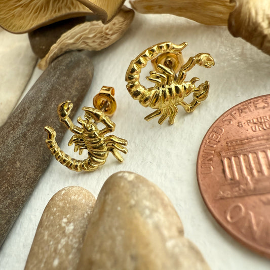 Scorpion Stud Earrings in Raw Brass