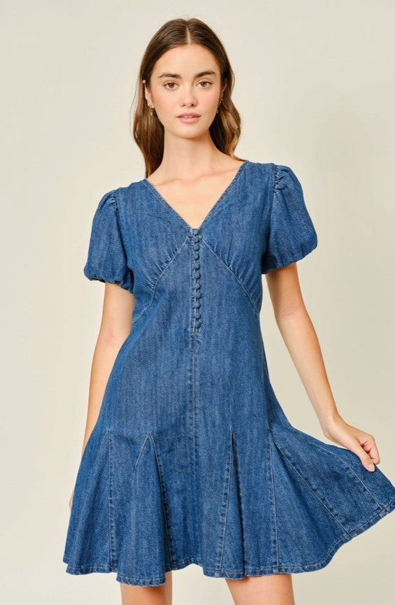 Claudia Denim Mini Dress