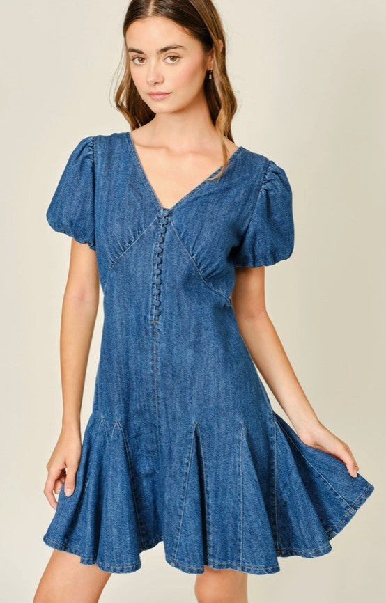 Claudia Denim Mini Dress
