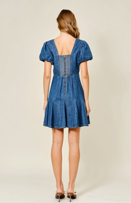 Claudia Denim Mini Dress