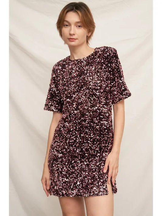 Short Sleeve Sequin Mini Dress with Back Tie