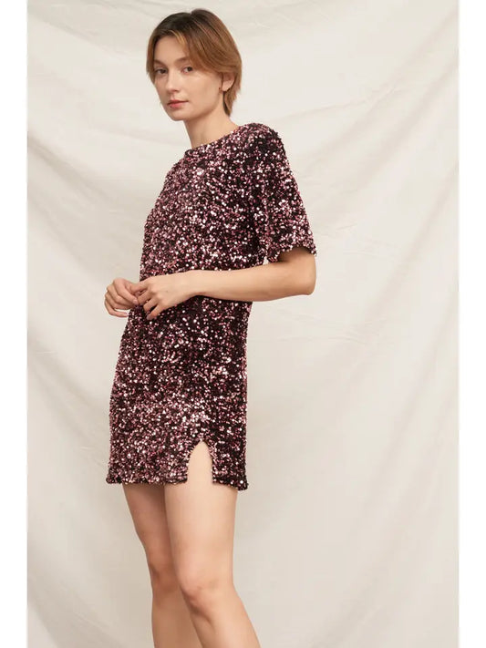 Short Sleeve Sequin Mini Dress with Back Tie