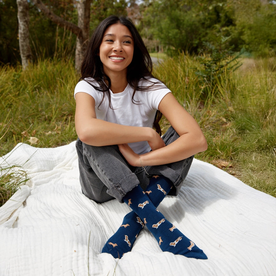 Socks that Save Dogs (Low Riders)