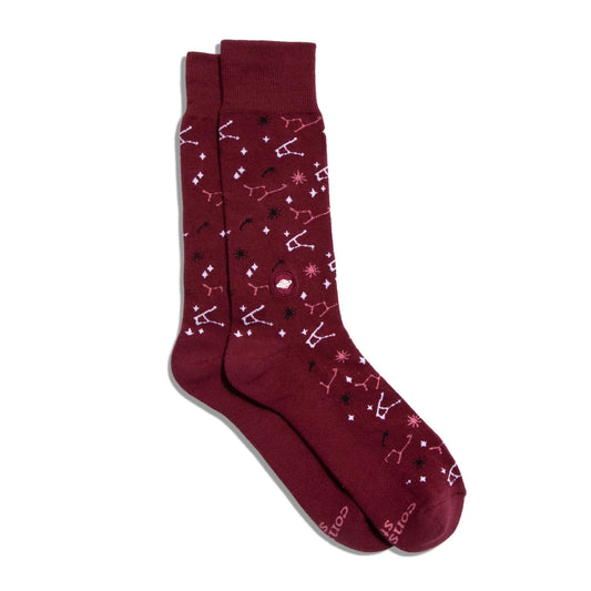 Socks That Support Space Exploration (Maroon Constellations)