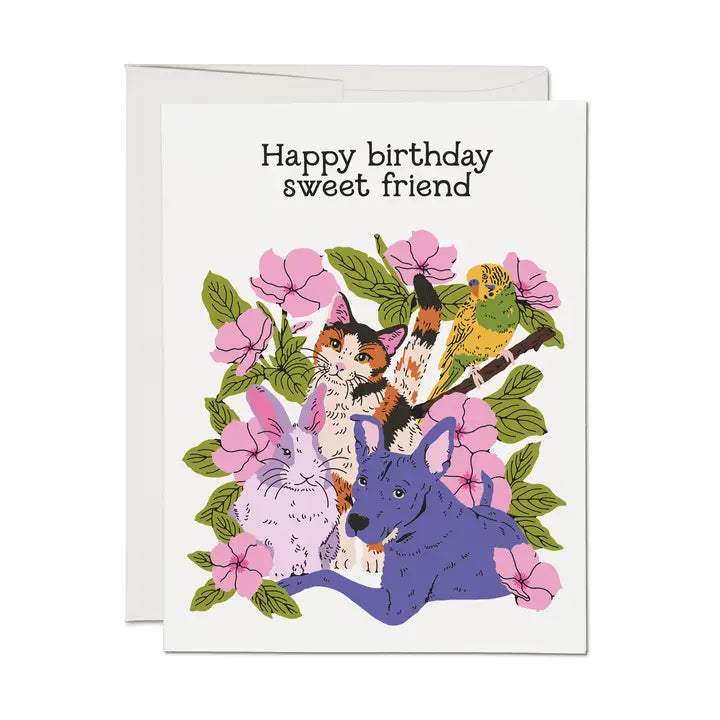 Sweet Friend Greeting Card