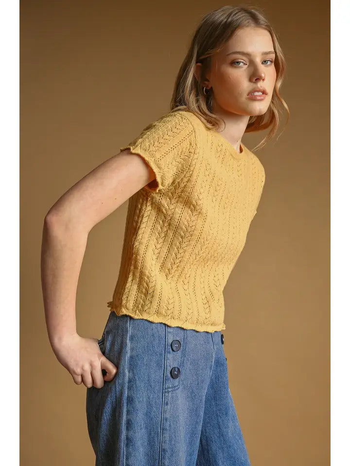 Pointelle Short Sleeve Knitted Top