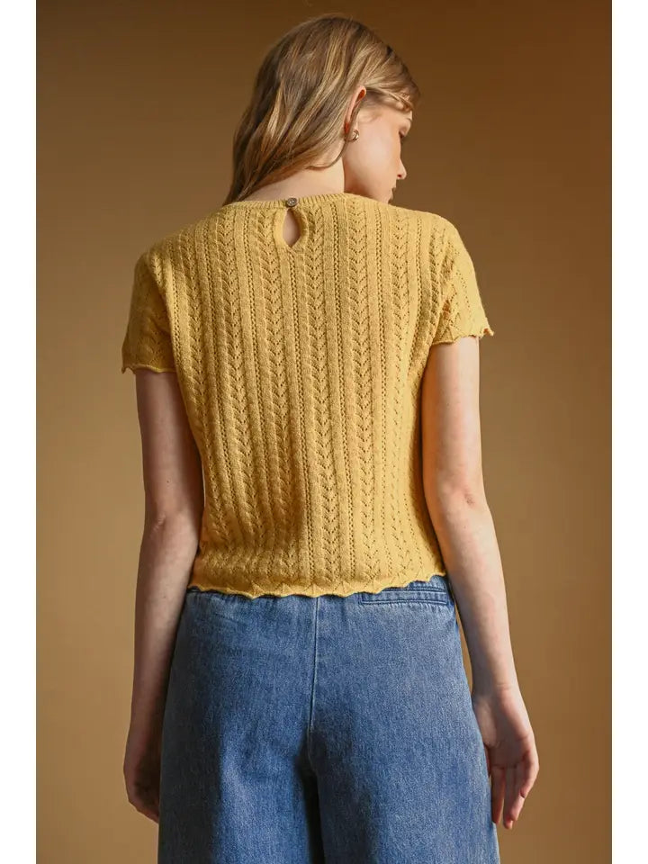 Pointelle Short Sleeve Knitted Top