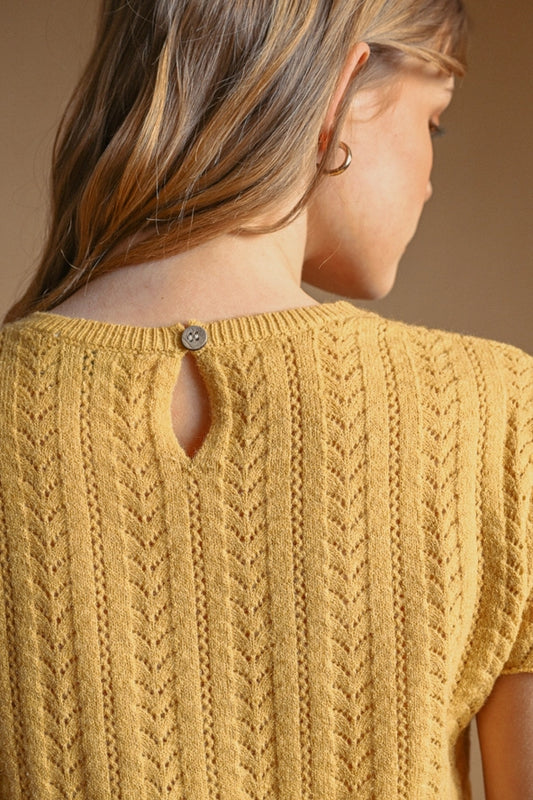 Pointelle Short Sleeve Knitted Top