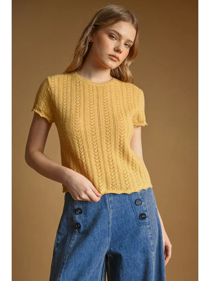 Pointelle Short Sleeve Knitted Top