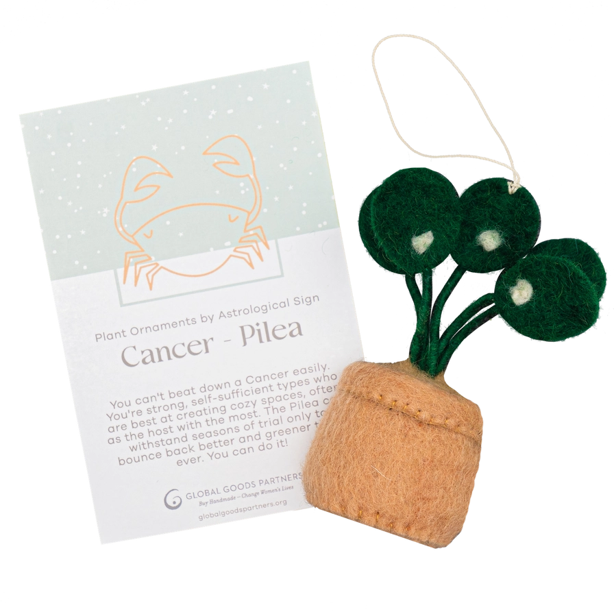 Plant Ornament Astrology Signs with Card