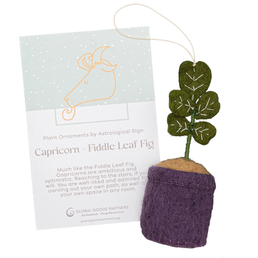 Plant Ornament Astrology Signs with Card