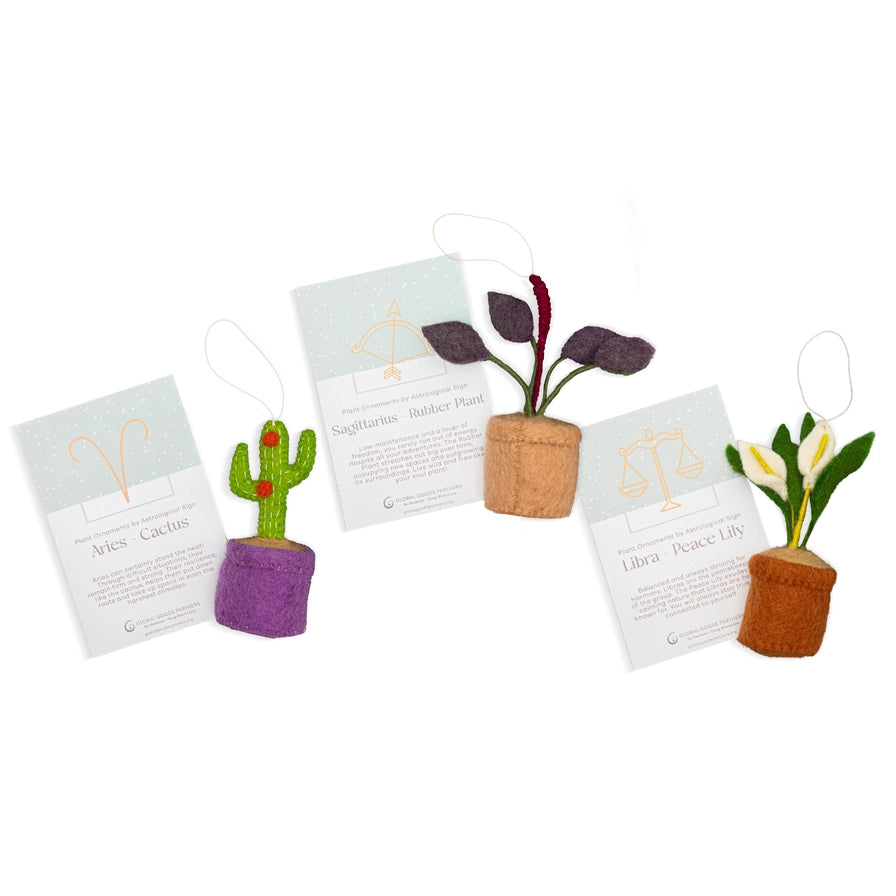 Plant Ornament Astrology Signs with Card