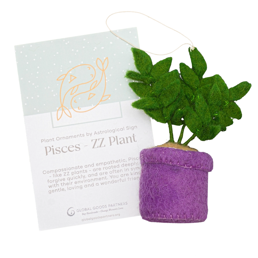 Plant Ornament Astrology Signs with Card