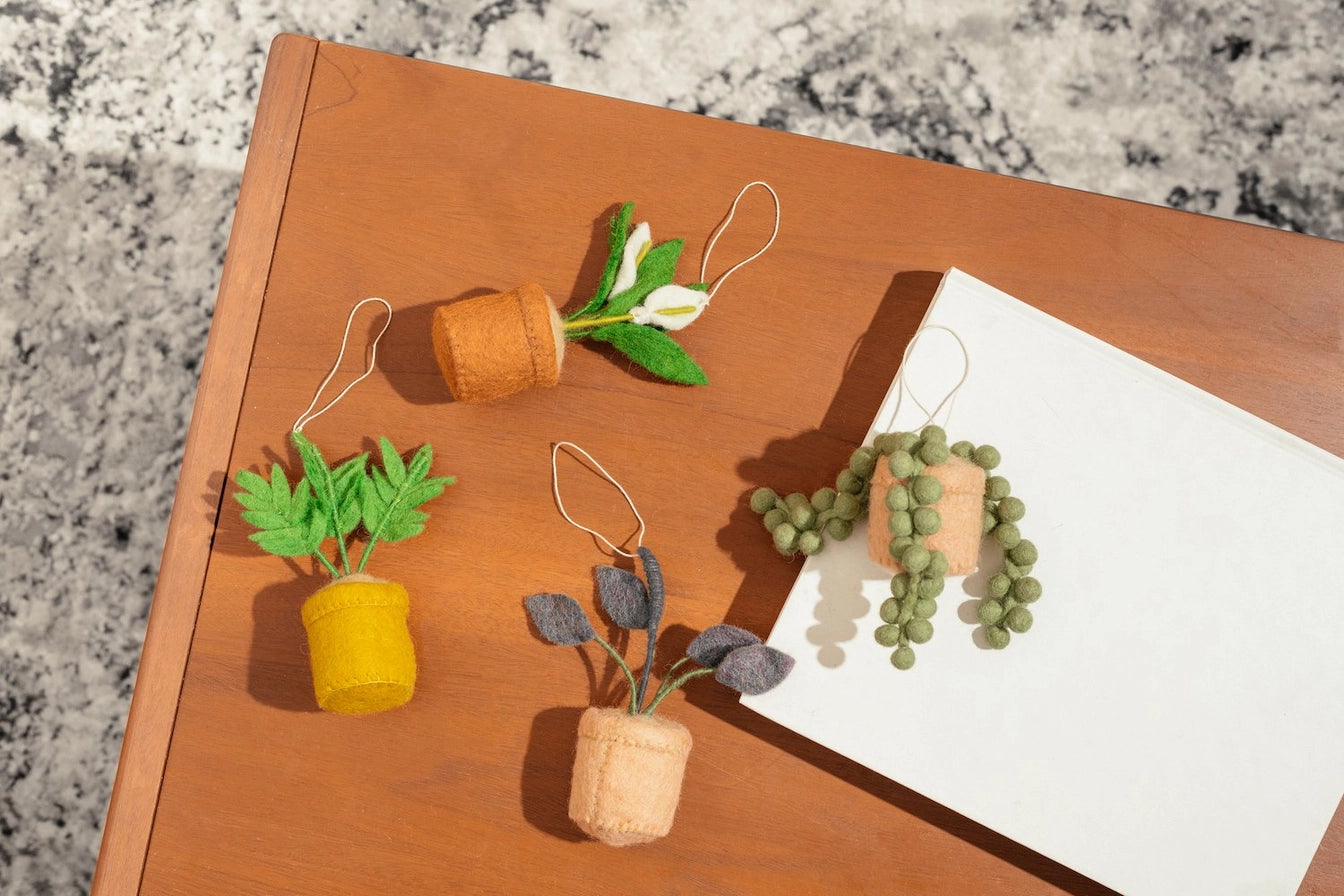 Plant Ornament Astrology Signs with Card