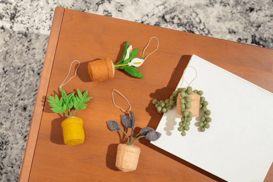 Plant Ornament Astrology Signs with Card