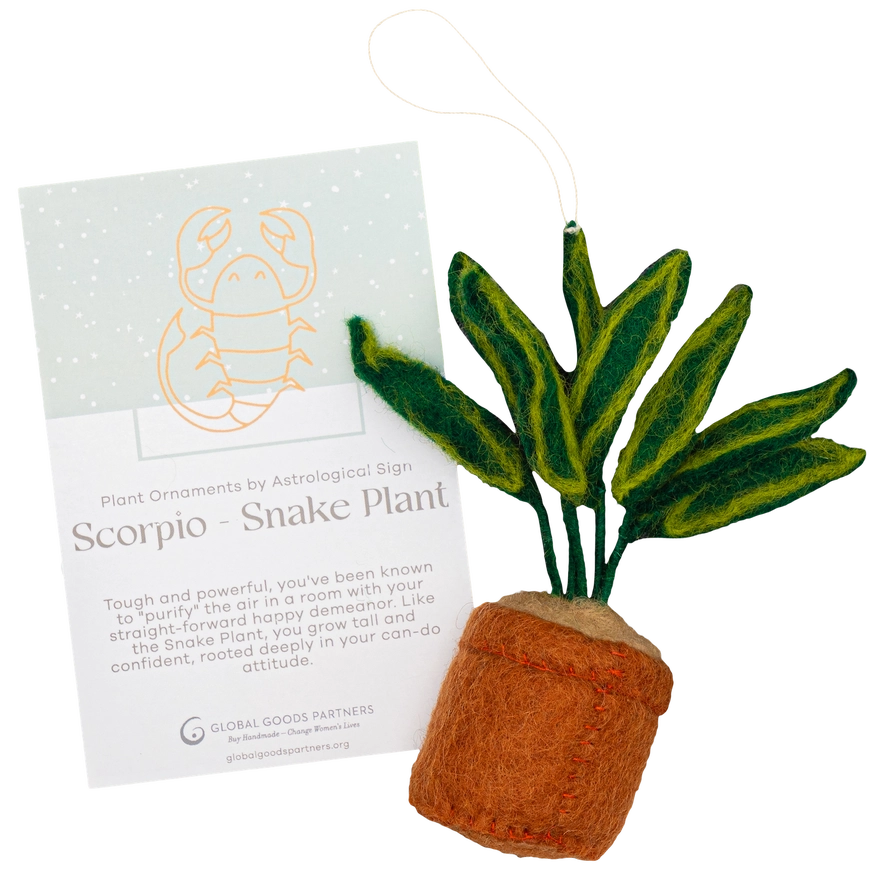 Plant Ornament Astrology Signs with Card