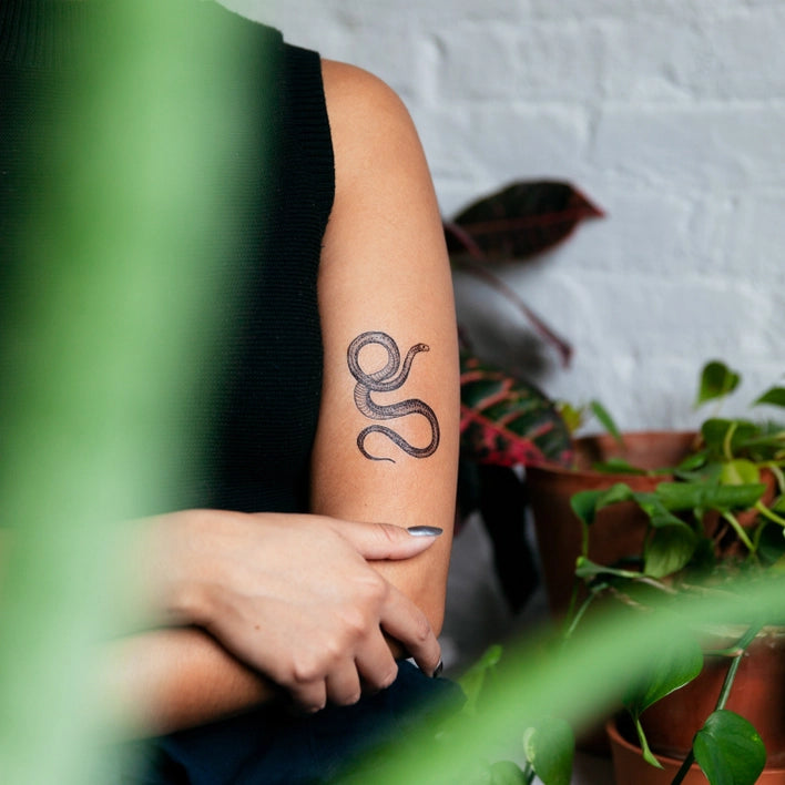 Serpent Temporary Tattoo Pair