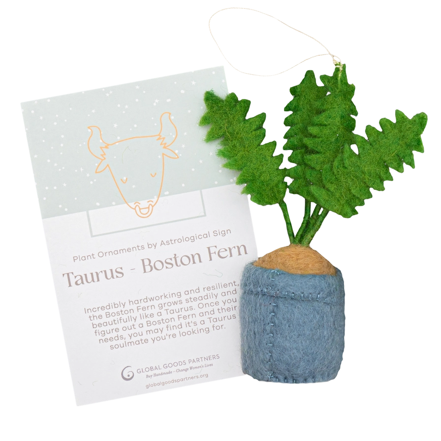 Plant Ornament Astrology Signs with Card