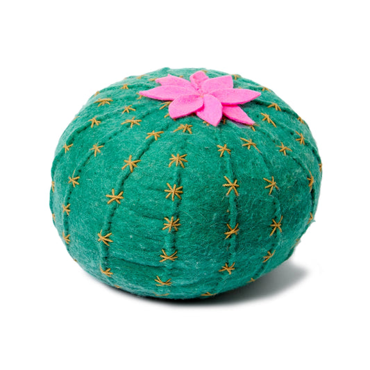 Cactus Pillow