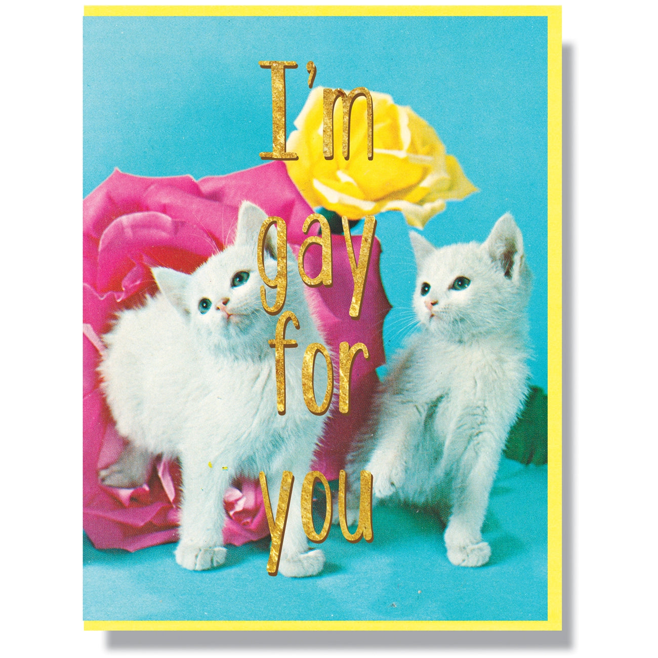 Gay For You Card Kittens